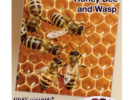 Honey Bee and Wasp - View-Master 3 Reel Set - (WKT-391) Sale