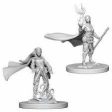 D&D Nolzurs Marvelous Unpainted Miniatures Elf Female Druid Supply